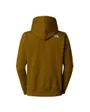 Sweat à capuche Homme M DREW PEAK PULLOVER HOODIE Vert