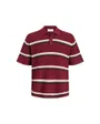 Polo Homme Jormaine Knit Stripe