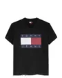 Tee-Shirt Homme Big Flag SS