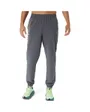 Pantalon de survêtement Homme ICON PANT Gris