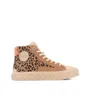 Bottines Unisexe PALLA ACE CHUKKA SDE Beige