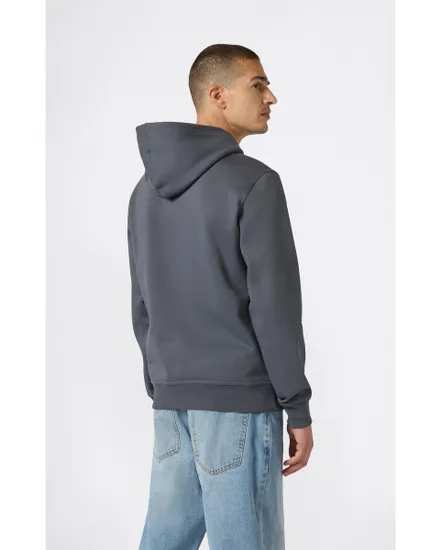 Sweat à capuche Homme Gris