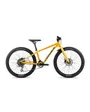 VTT Enfant MX 24 TEAM DISC Orange/Noir