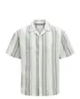 Chemise Homme Summer Stripe Resort
