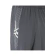 Pantalon de survêtement Homme ICON PANT Gris