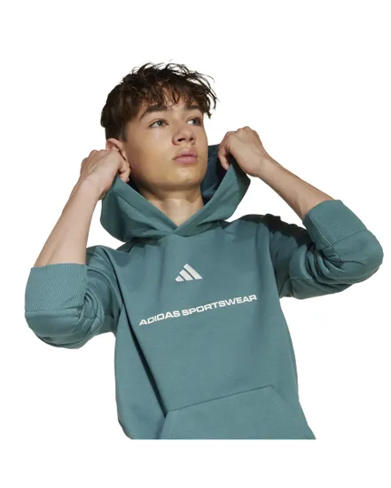 Sweat à capuche Enfant B FL HD Bleu