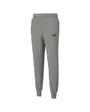 Pantalon de survetement long Homme FD ESS CAT PANT FL CL Gris