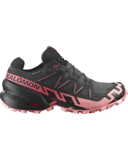 Chaussures de trail Femme SHOES SPEEDCROSS 6 GTX W Gris