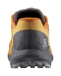 Chaussures de trail running Homme SHOES SENSE RIDE 4 Orange