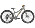 VTT Enfant ROXTER 24 Argent