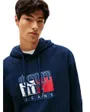 Sweat à Capuche Homme Tommy Jeans Reg Rwb Flag Hoodie Ext