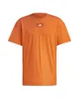 Un t-shirt stylé en coton doux. Homme M FV T Marron