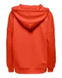 ONLNOOMI L/S LOGO HOOD NOOS