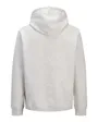 Sweat À Capuche Homme JJALLIANCE SWEAT HOOD LN