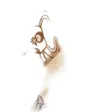 Foulard Femme Pctasselo Square