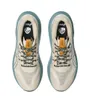 Chaussures de trail Homme GT-2000 15 TR Beige