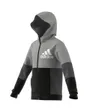 Sweat à capuche enfant Enfant U CB FZ HOODIE Gris