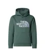 Sweat à capuche Enfant B DREW PEAK P/O HOODIE Vert