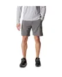 Short Homme SILVER RIDGE UTILITY CARGO SHORT Gris