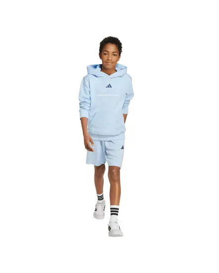 Sweat à Capuche Homme B FL HD