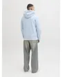 Sweat à capuche Homme JJELOGO SWEAT HOOD 2 COL 25/26 NOOS