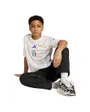 Maillot Pré-Match Homme FIGC Preshi H Y