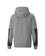 Sweatshirt homme FD BMW MMS FZ HDY Gris