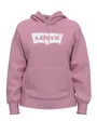 Sweatshirt Femme GRAPHIC STANDARD HOODIE Rose
