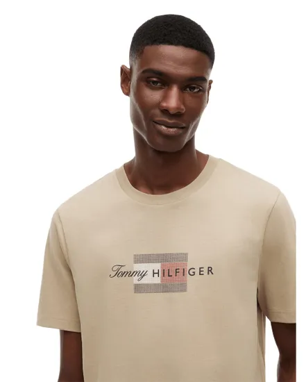 T-shirt Homme Script Flag Regular