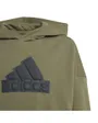 Sweat à capuche Enfant U FI LOGO HD Vert