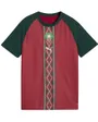 Maillot d'échauffement Junior FRMF Maroc