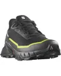 Chaussures de trail Homme SHOES ALPHACROSS 5 GTX Noir