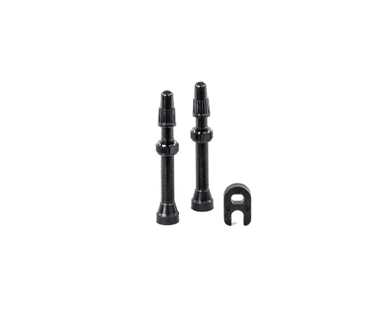 Kit de 2 valves Tubeless 60 mm