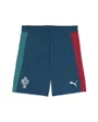 Short Training Homme FPF Training Shorts W Pockets