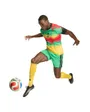Maillot Football Homme Jamaïque Domicile