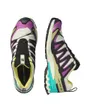 Chaussures de Trail Homme XA Pro 3D V9 GTX