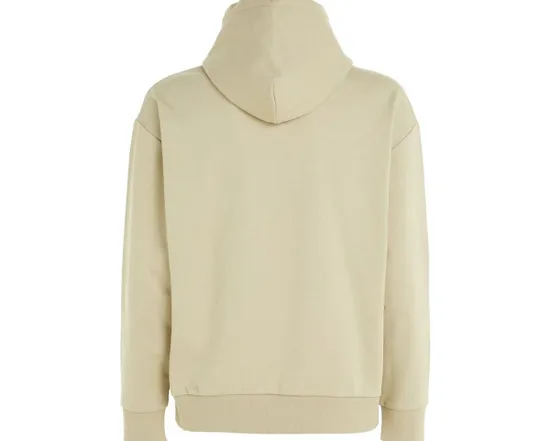 Sweat à capuche Homme HERO LOGO COMFORT HO Beige