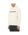 Sweat À Capuche Homme Salomon Logo