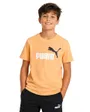 Tee-Shirt Garçon Ess Logo Bicolore