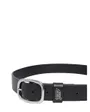 Ceinture Femme TJW Oval 3.0 Buckle