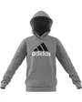 Sweat a capuche manches longues Enfant U BL 2 HOODIE Gris