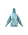 Sweatshirt à capuche manches longues Femme W ALL SZN BF HD Bleu