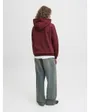 Sweat à capuche Femme JXABBIE RLX LS EVERY HOOD SWT NOOS Bordeaux
