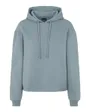 Sweat À Capuche Femme Pcchilli Ls Hoodie Noos Bc