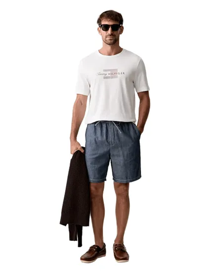 Tee-Shirt Homme Script Flag Regular