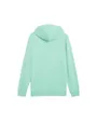 Sweat à Capuche Homme ESS 2 Color Small No 1 Logo