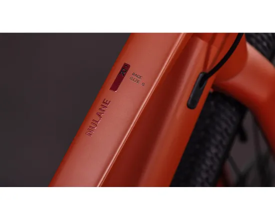 Vélo trekking NULANE RACE Ambre/Noir
