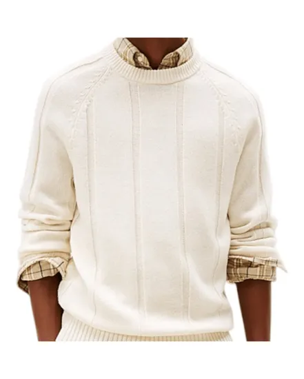 Pull col rond Homme DC TEXTURED STRIPE CREWNECK Écru