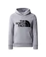 Sweat à capuche manches longues Enfant B DREW PEAK P/O HOODIE Gris