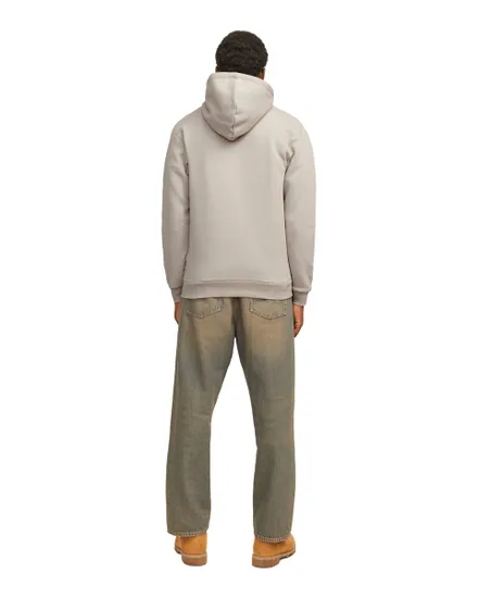 Sweat À Capuche Zippé Homme Jjebradley